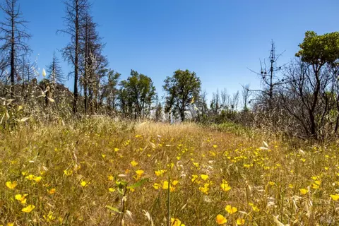 0 Pine Flat Rd, Healdsburg, CA 94515 photo 43
