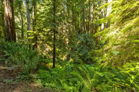 33170 Frog Pond Rd, Little River, CA 95456