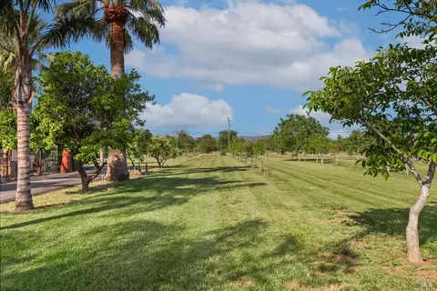 Exterior - 9192 Boyce Rd, Winters, CA 95694 photo 23 of 28