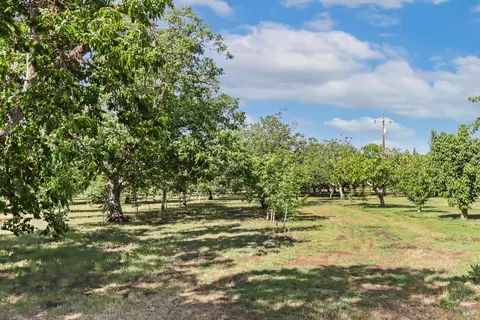 Other - 9192 Boyce Rd, Winters, CA 95694 photo 17 of 37