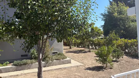 Exterior - 9896 Sunray Pl, Windsor, CA 95492 photo 11 of 18