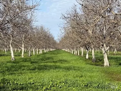 Other - 9415 Stevenson Bridge Rd, Winters, CA 95694 photo 4 of 10