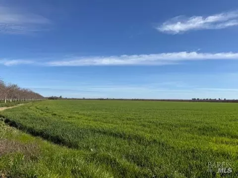 9415 Stevenson Bridge Rd, Winters, CA 95694