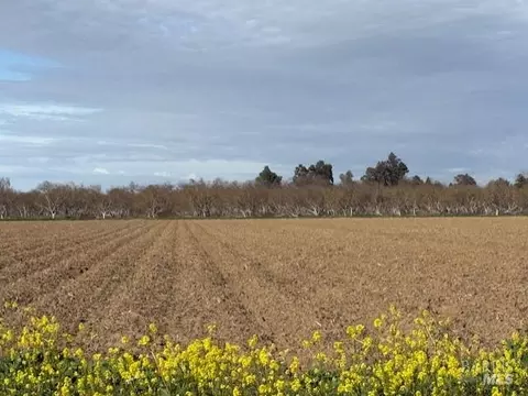 Other - 9415 Stevenson Bridge Rd, Winters, CA 95694 photo 2 of 10