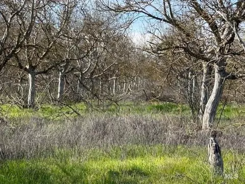 Other - 9415 Stevenson Bridge Rd, Winters, CA 95694 photo 6 of 10