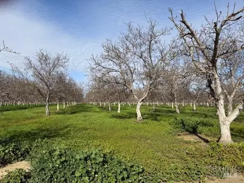 Other - 9415 Stevenson Bridge Rd, Winters, CA 95694 photo 5 of 10
