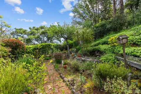 321 Laurel Way, Mill Valley, CA 94941