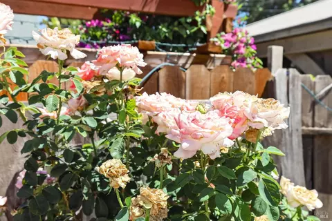 Other - 289 Markham Ave, Vacaville, CA 95688 photo 2 of 4