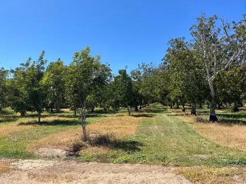 Other - 9029 Gaddini Rd, Winters, CA 95694 photo 12 of 12