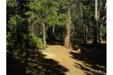 23561 Stagecoach Rd, Volcano, CA 95689 photo 1