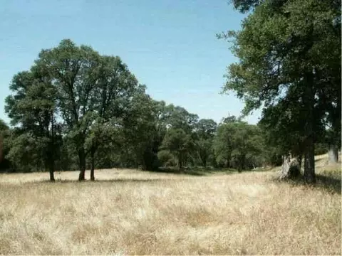 Undisclosed, Grass Valley, CA 95949 photo 1