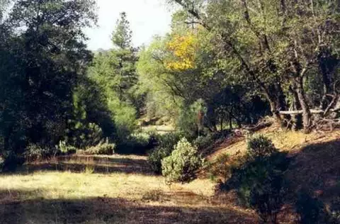 Undisclosed, Grass Valley, CA 95949 photo 1