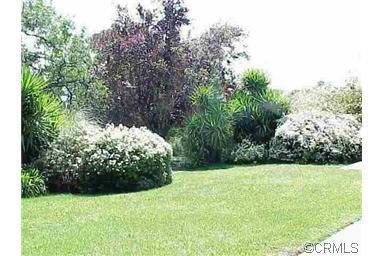 9330 W Hwy 88 Hwy, Jackson, CA 95642 photo 6