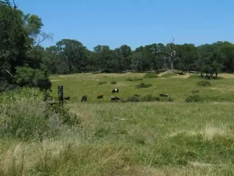 Undisclosed, Grass Valley, CA 95949 photo 1