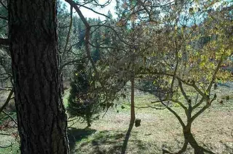 Undisclosed, Grass Valley, CA 95949 photo 3