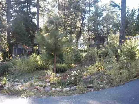 Undisclosed, Grass Valley, CA 95945 photo 3