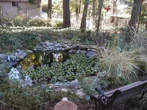 Undisclosed, Grass Valley, CA 95945 photo 4
