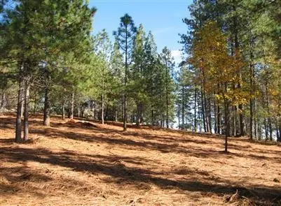Undisclosed, Grass Valley, CA 95949 photo 1