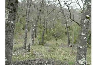 16420 Rossbridge Rd, Jackson, CA 95642 photo 7