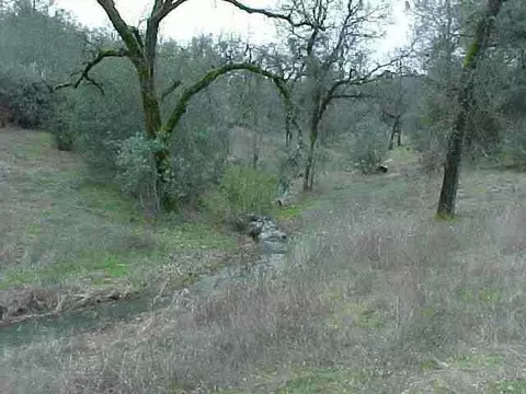 Undisclosed, Grass Valley, CA 95949 photo 5