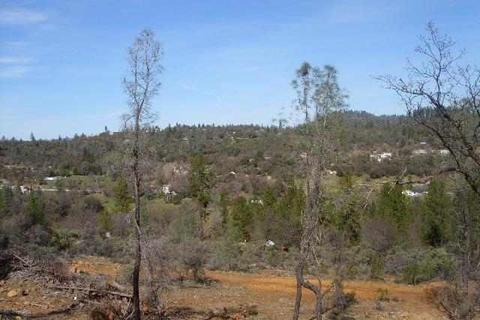Undisclosed, Rough And Ready, CA 95975 photo 7