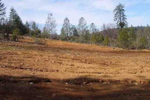 Undisclosed, Rough And Ready, CA 95975 photo 8