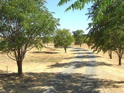 12153 Rising Rd, Wilton, CA 95693 photo 1