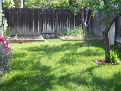 224 Toyon Ln, Winters, CA 95694 photo 3