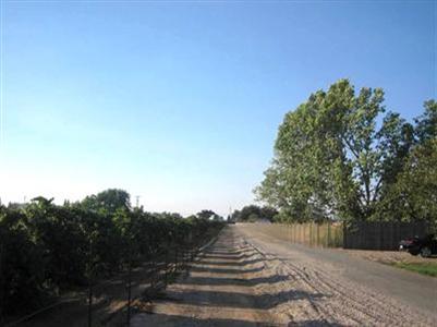 5200 Jahant Rd, Galt, CA 95632 photo 2
