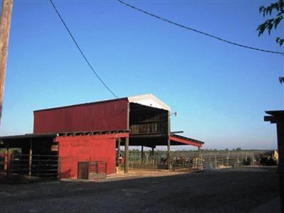5200 Jahant Rd, Galt, CA 95632 photo 4