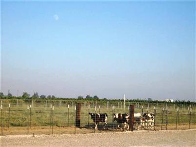 5200 Jahant Rd, Galt, CA 95632 photo 5