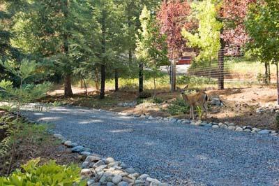 6062 Arrowhead Ct, Foresthill, CA 95631 photo 11