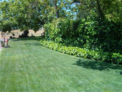 5455 Lost Ave, Rocklin, CA 95677 photo 3