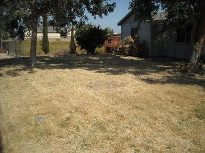 16267 King St, Delhi, CA 95315 photo 2
