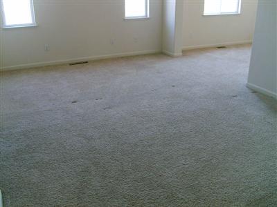 1679 Daniels St, Manteca, CA 95337 photo 6