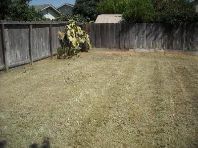 16546 Palmento Ct, Delhi, CA 95315 photo 5