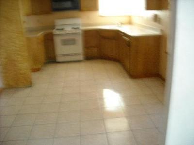 16546 Palmento Ct, Delhi, CA 95315 photo 3