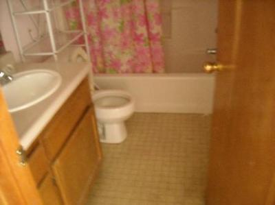 16546 Palmento Ct, Delhi, CA 95315 photo 2