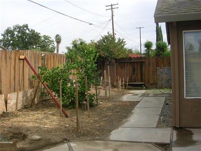 1409 Marin Ave, Modesto, CA 95358 photo 6