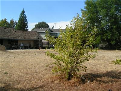 6158 Springview Dr, Rocklin, CA 95677 photo 6