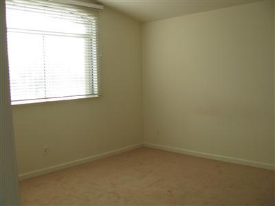3407 Patch Ln, Tracy, CA 95377 photo 7