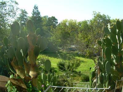 34677 Creeksedge Rd, Davis, CA 95616 photo 5