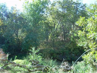 34677 Creeksedge Rd, Davis, CA 95616 photo 7