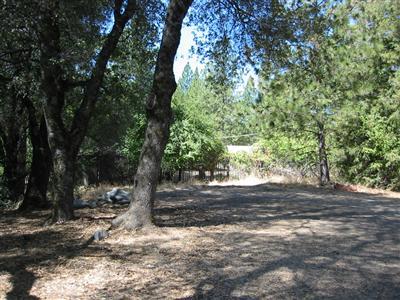 2497 Black Oak Ln, Placerville, CA 95667 photo 9