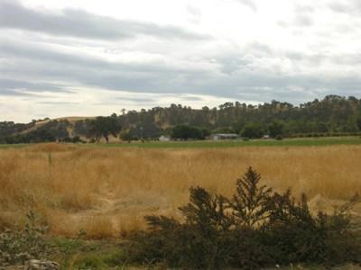 23820 Highway 16, Capay, CA 95607 photo 1