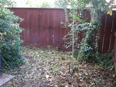 4032 Elmo Loop #d, Modesto, CA 95356 photo 11