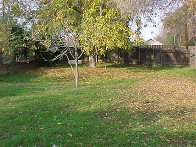 245 Rue De Yoe, Modesto, CA 95354 photo 4