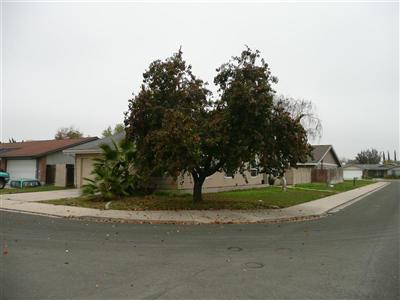 2832 Alphonse Dr, Ceres, CA 95307 photo 1