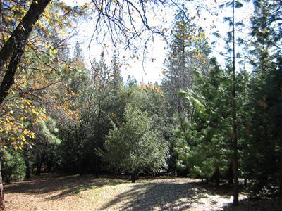 5100 Cedar Dr, Georgetown, CA 95634 photo 8