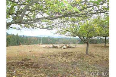 11656 New York Ranch Rd, Jackson, CA 95642 photo 7